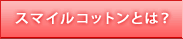 ���ޥ��륳�åȥ�Ȥϡ�